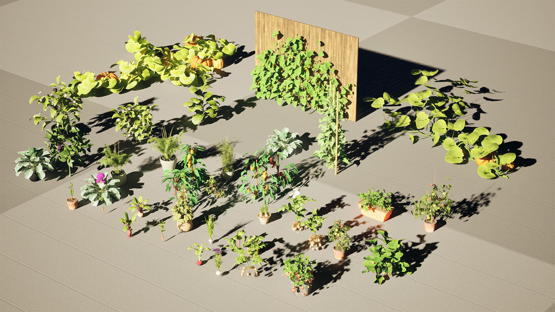 Vegetable Plant 3D Pack Low-poly 3D model_26