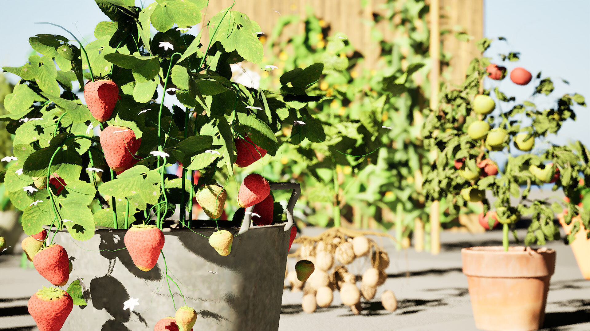 Vegetable Plant 3D Pack Low-poly 3D model_29