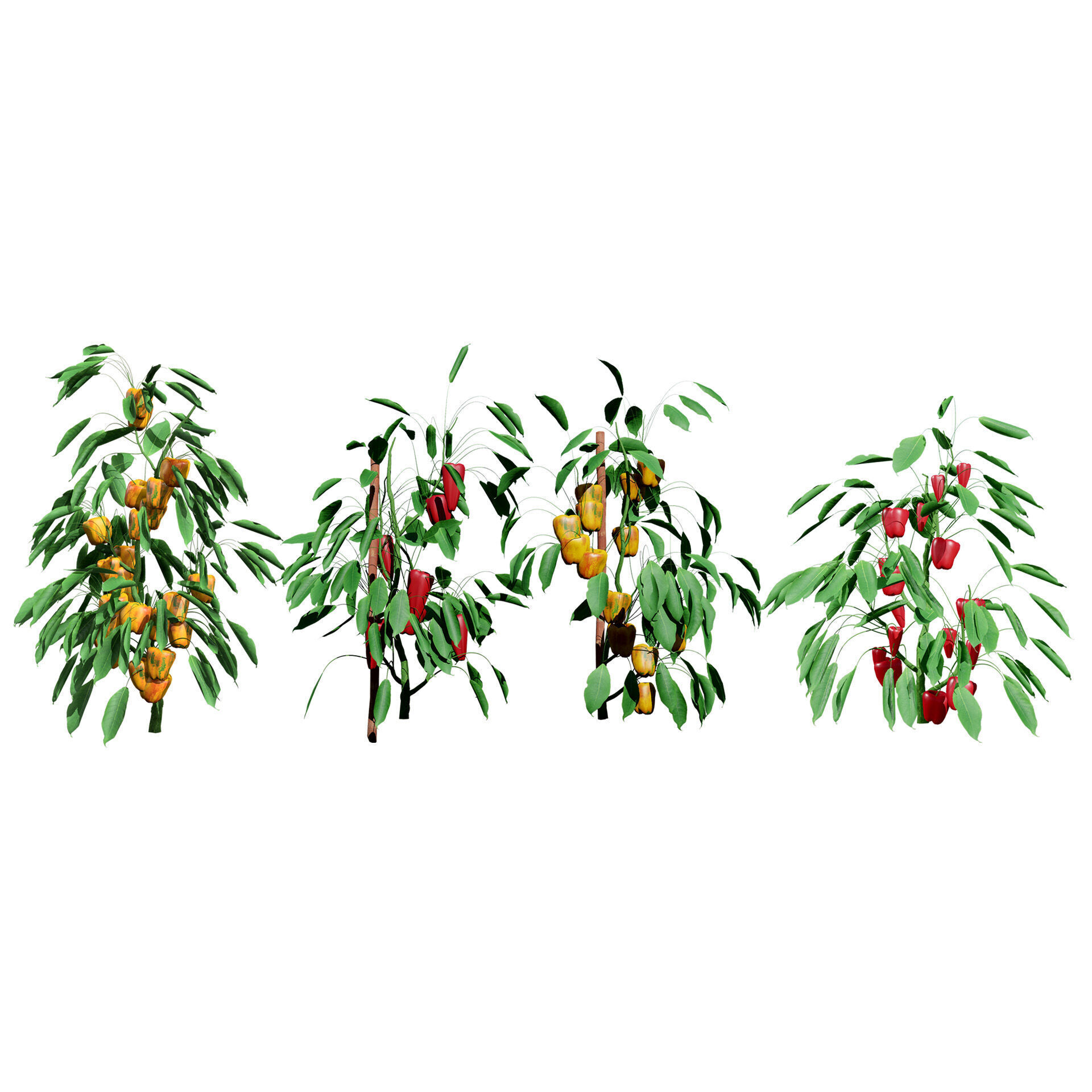 Vegetable Plant 3D Pack Low-poly 3D model_40