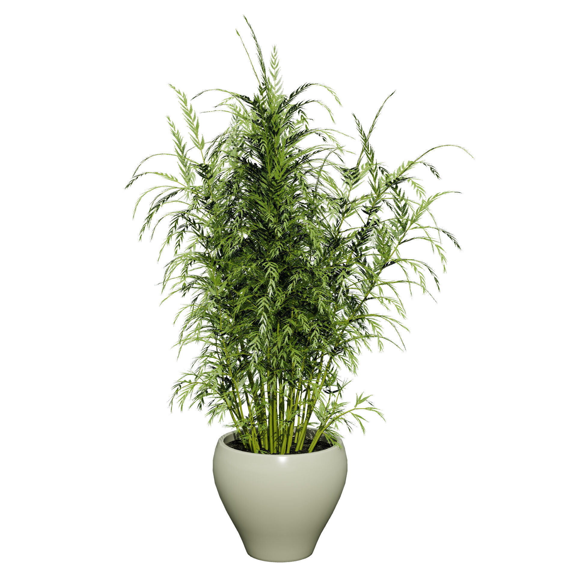 Vegetable Plant 3D Pack Low-poly 3D model_49