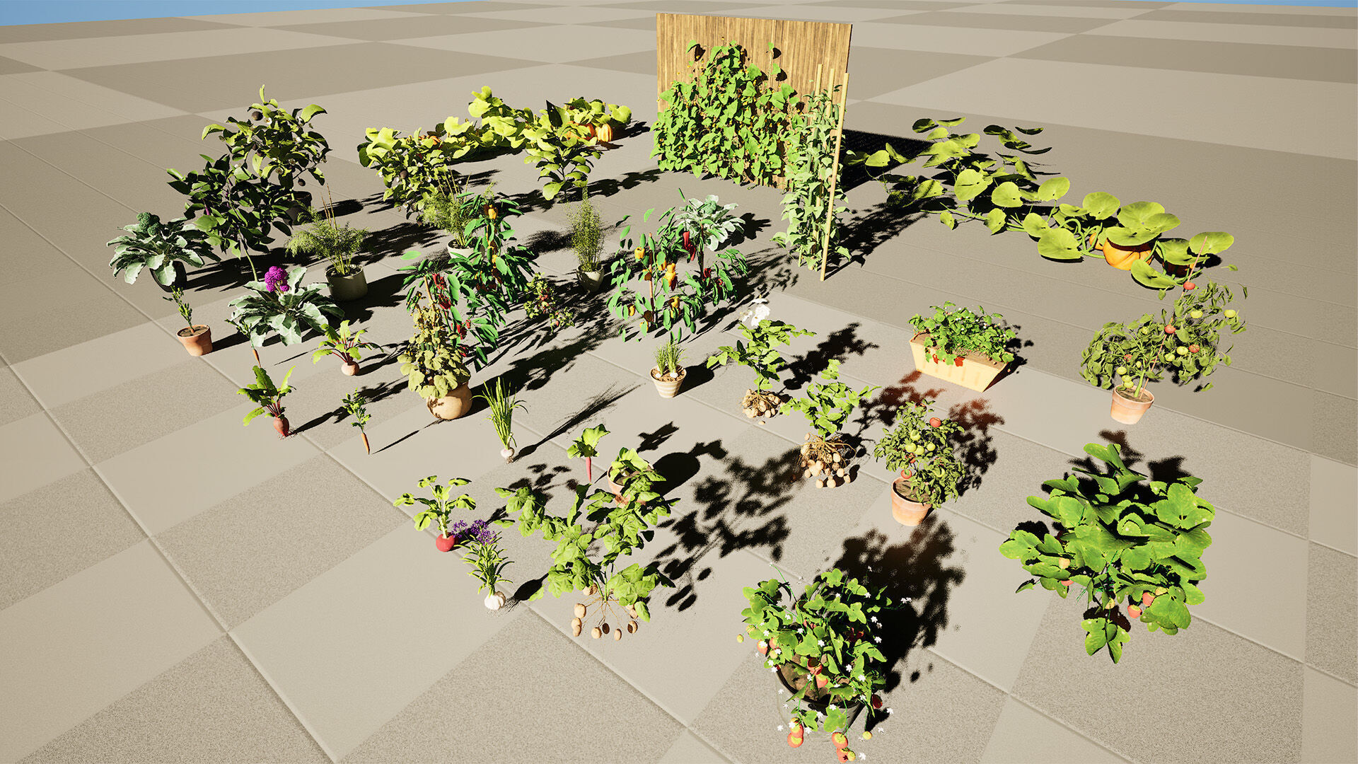 Vegetable Plant 3D Pack Low-poly 3D model_27