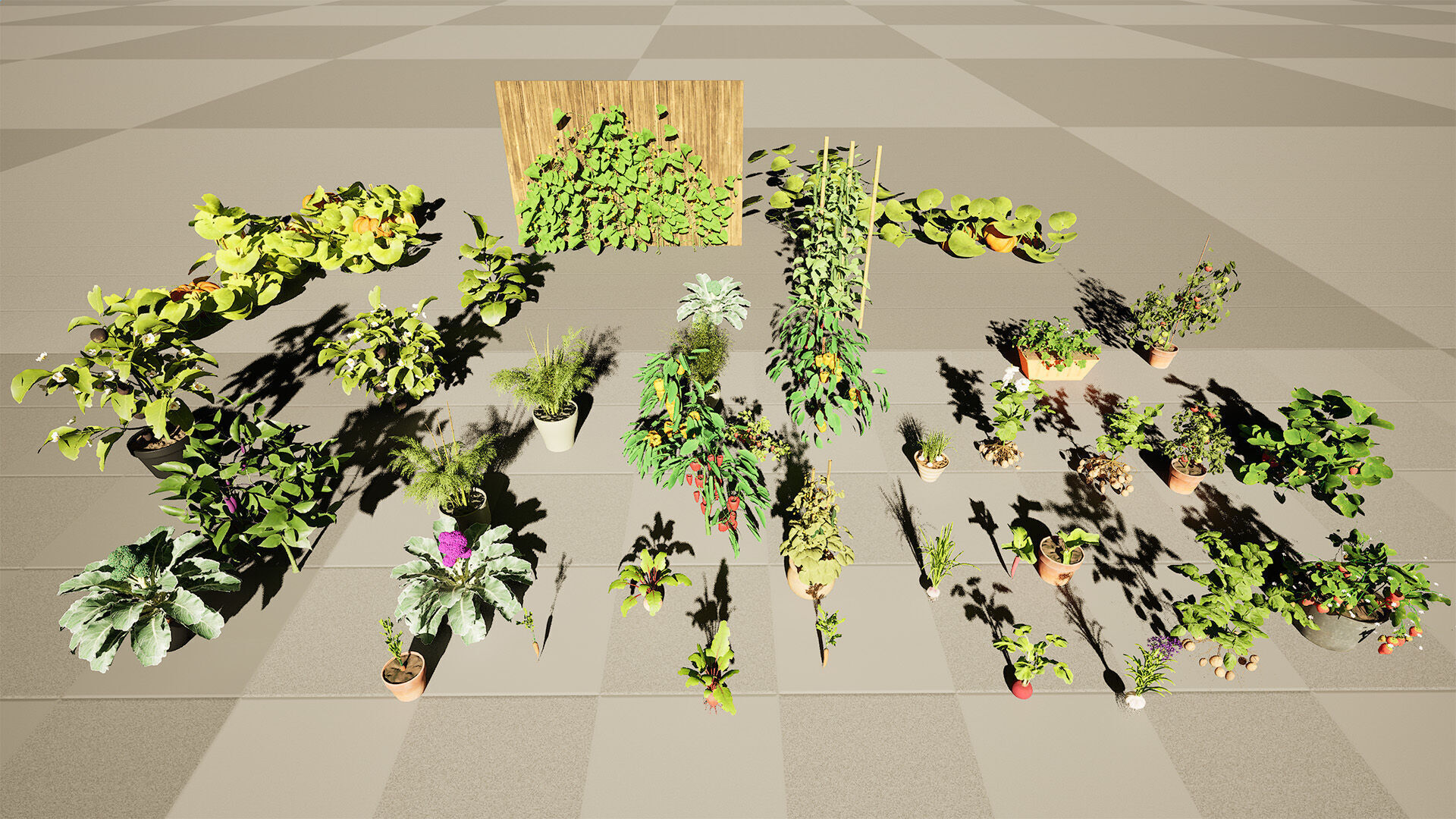 Vegetable Plant 3D Pack Low-poly 3D model_28