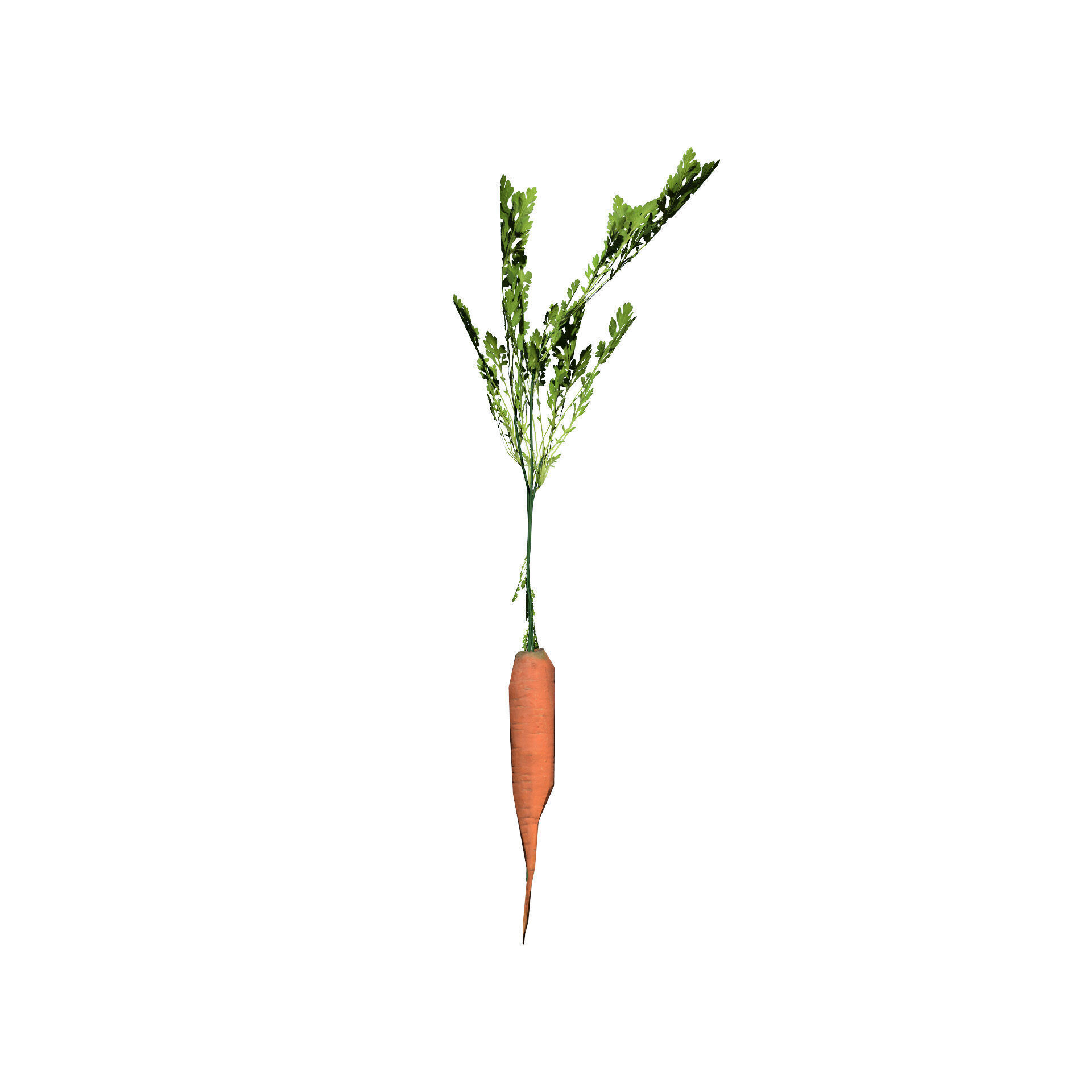 Vegetable Plant 3D Pack Low-poly 3D model_9