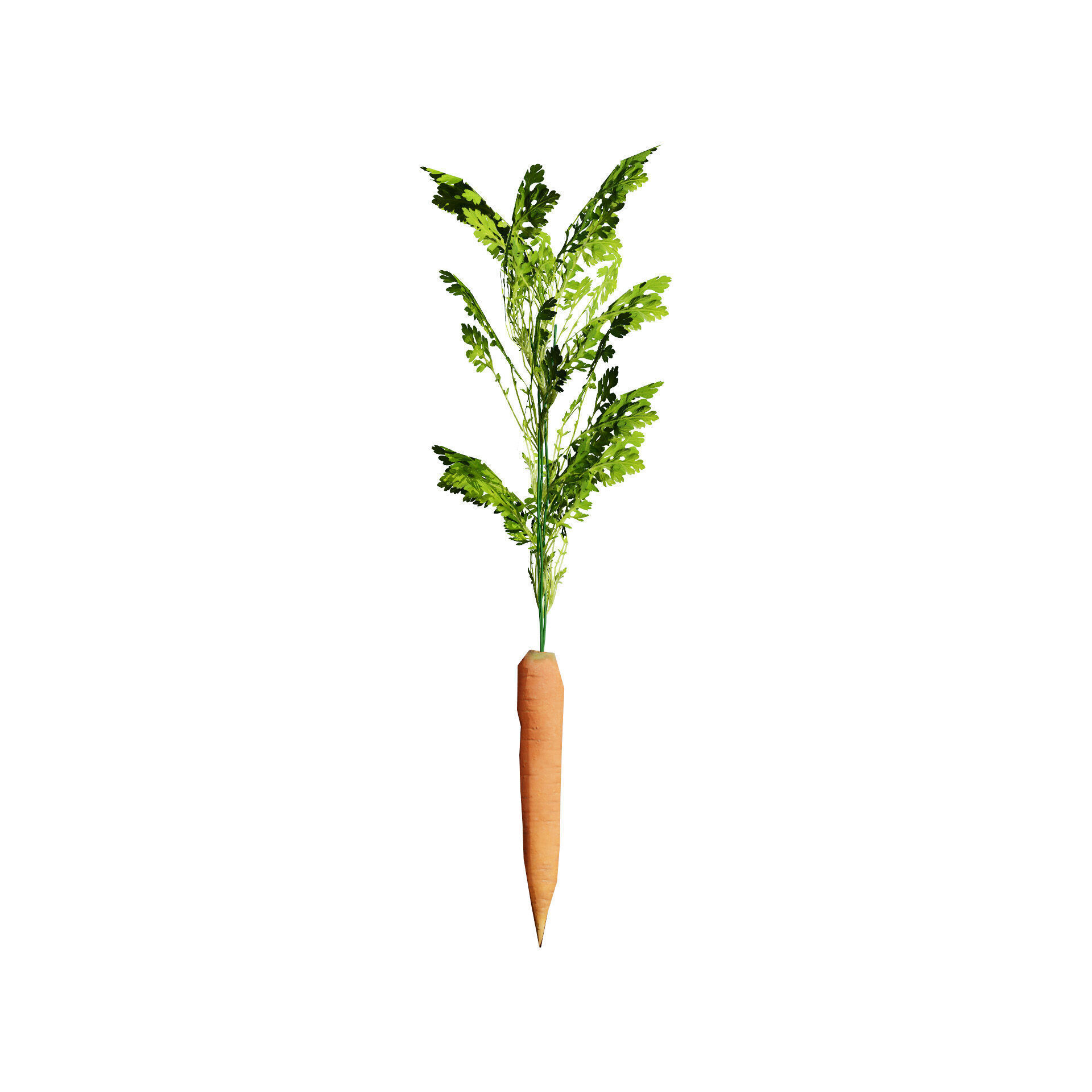 Vegetable Plant 3D Pack Low-poly 3D model_8