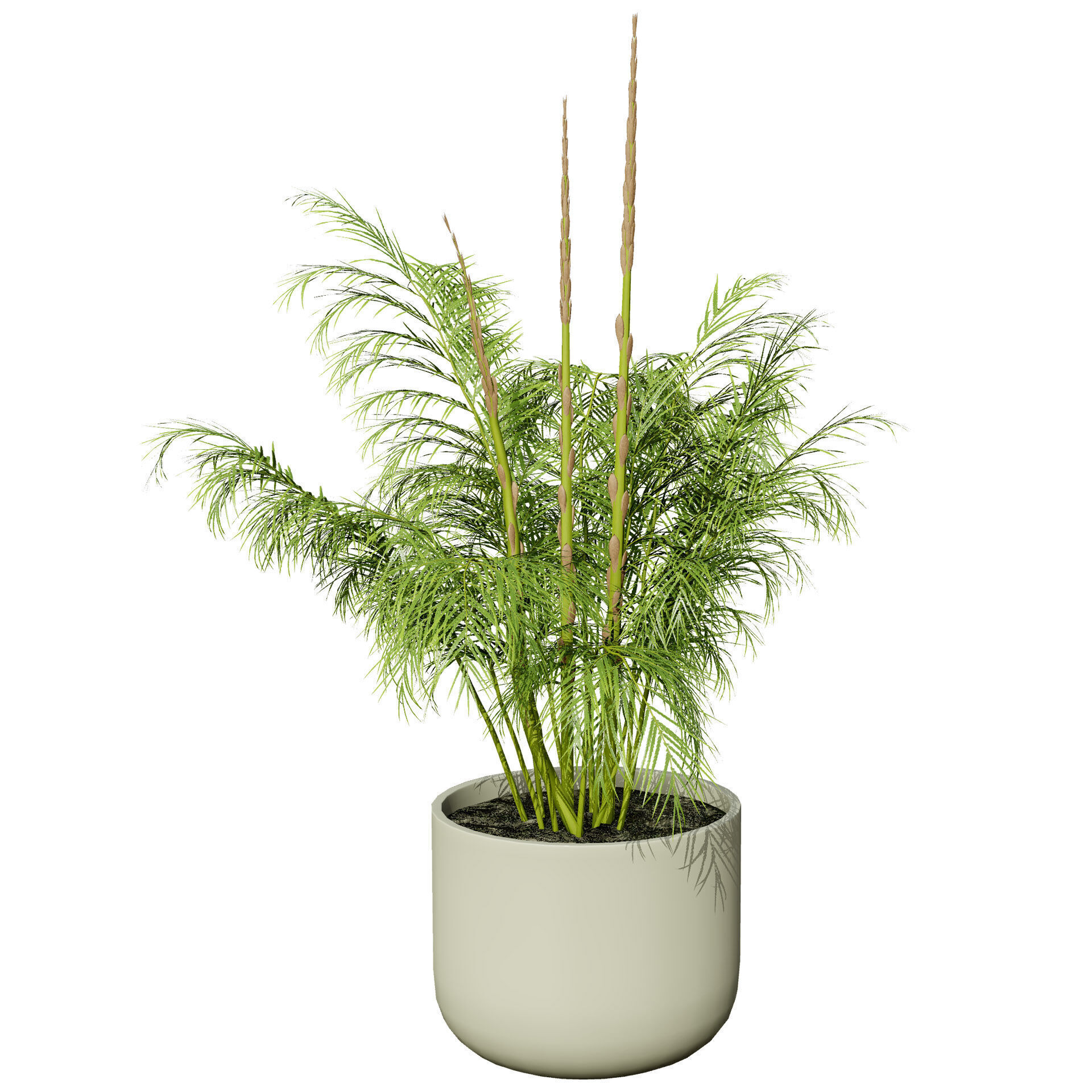 Vegetable Plant 3D Pack Low-poly 3D model_48