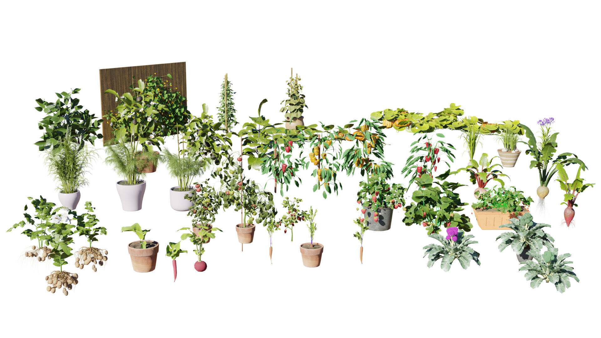 Vegetable Plant 3D Pack Low-poly 3D model_2