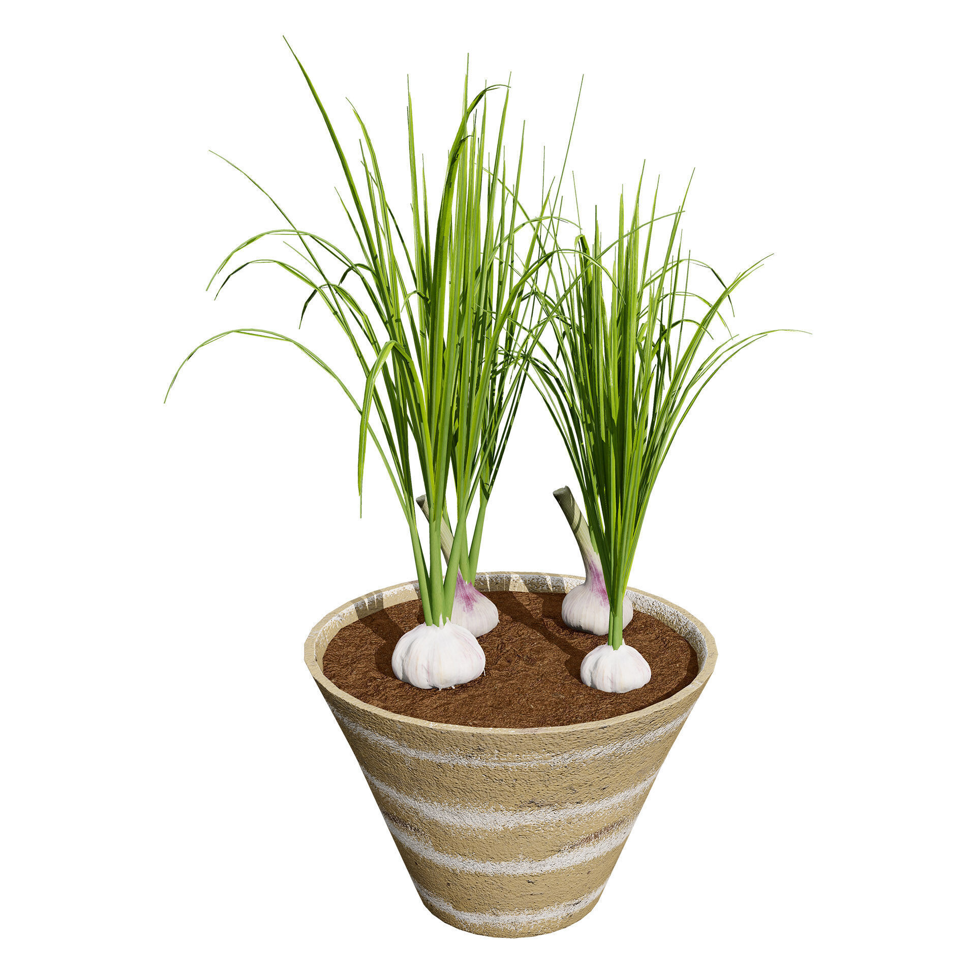 Vegetable Plant 3D Pack Low-poly 3D model_25