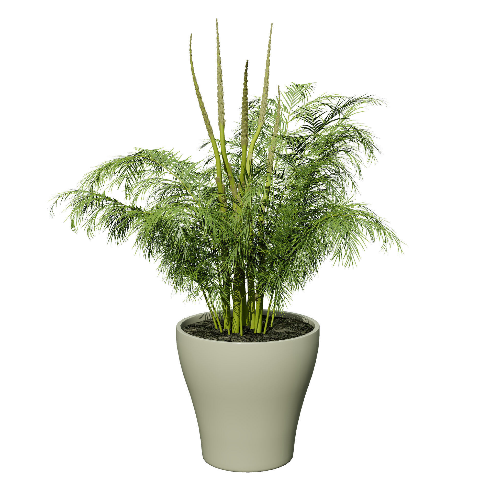 Vegetable Plant 3D Pack Low-poly 3D model_47