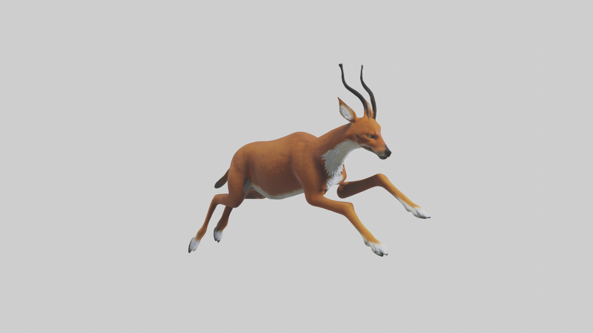 Dhole chasing prey model Low-poly 3D model_11