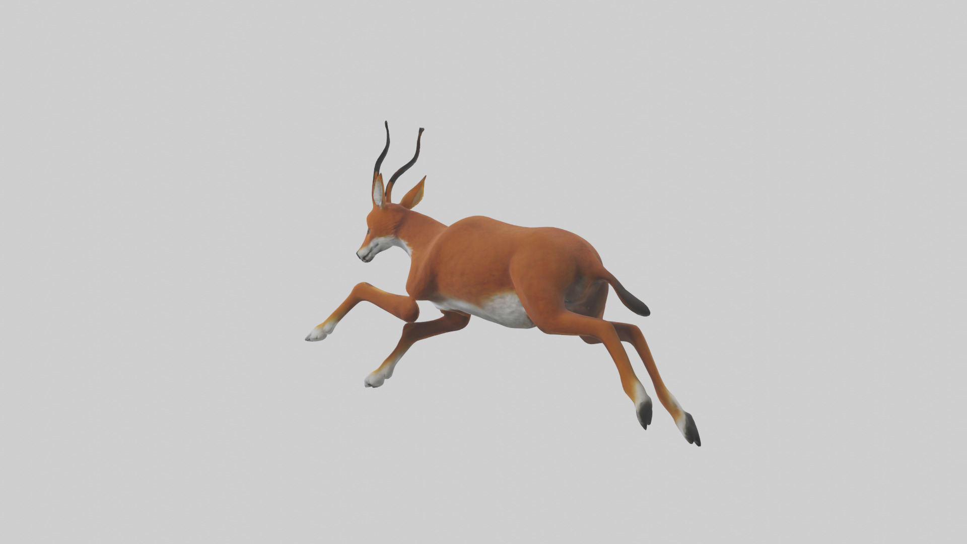 Dhole chasing prey model Low-poly 3D model_1