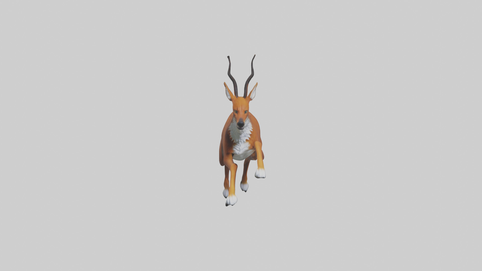 Dhole chasing prey model Low-poly 3D model_9