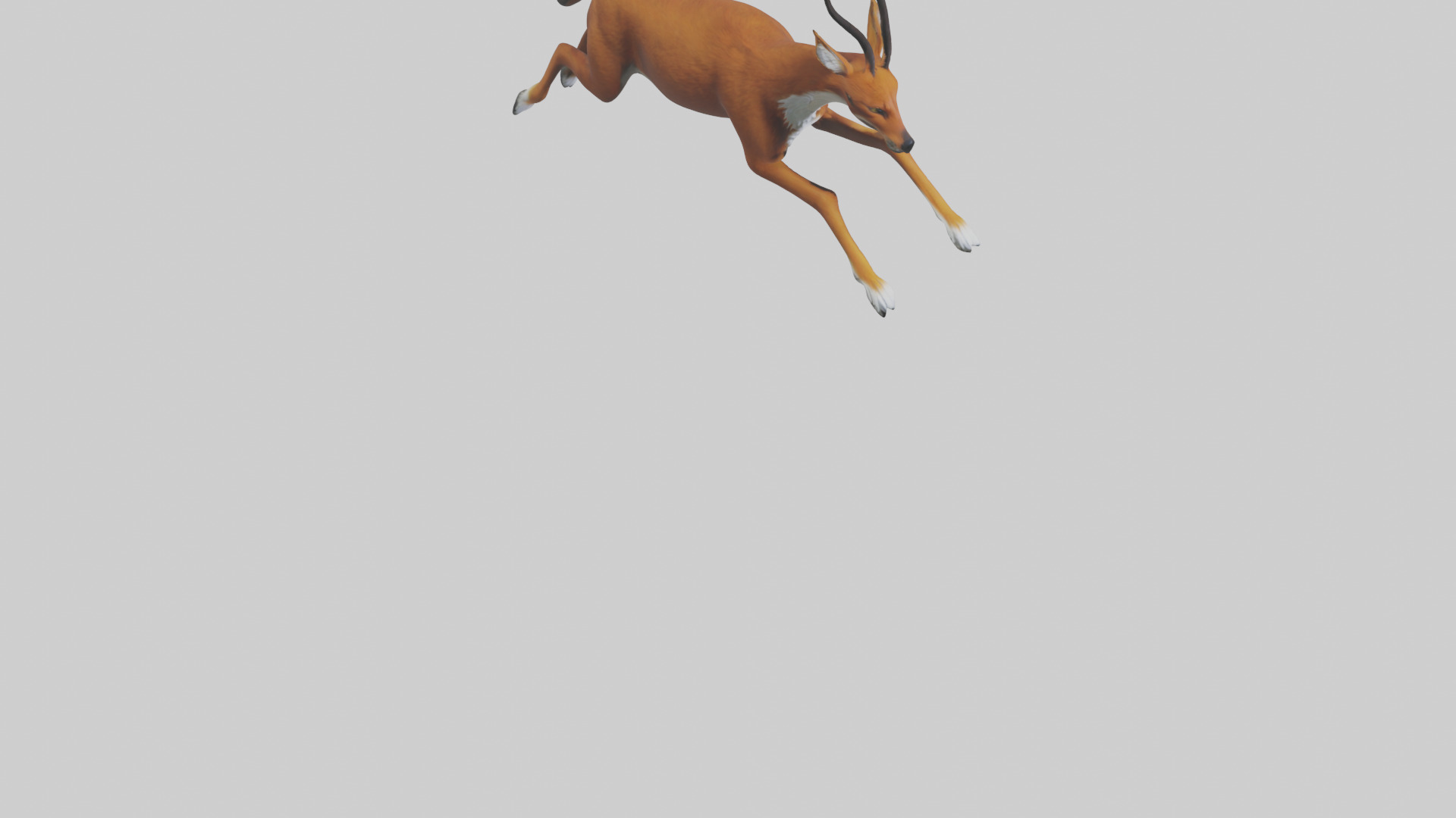Dhole chasing prey model Low-poly 3D model_6