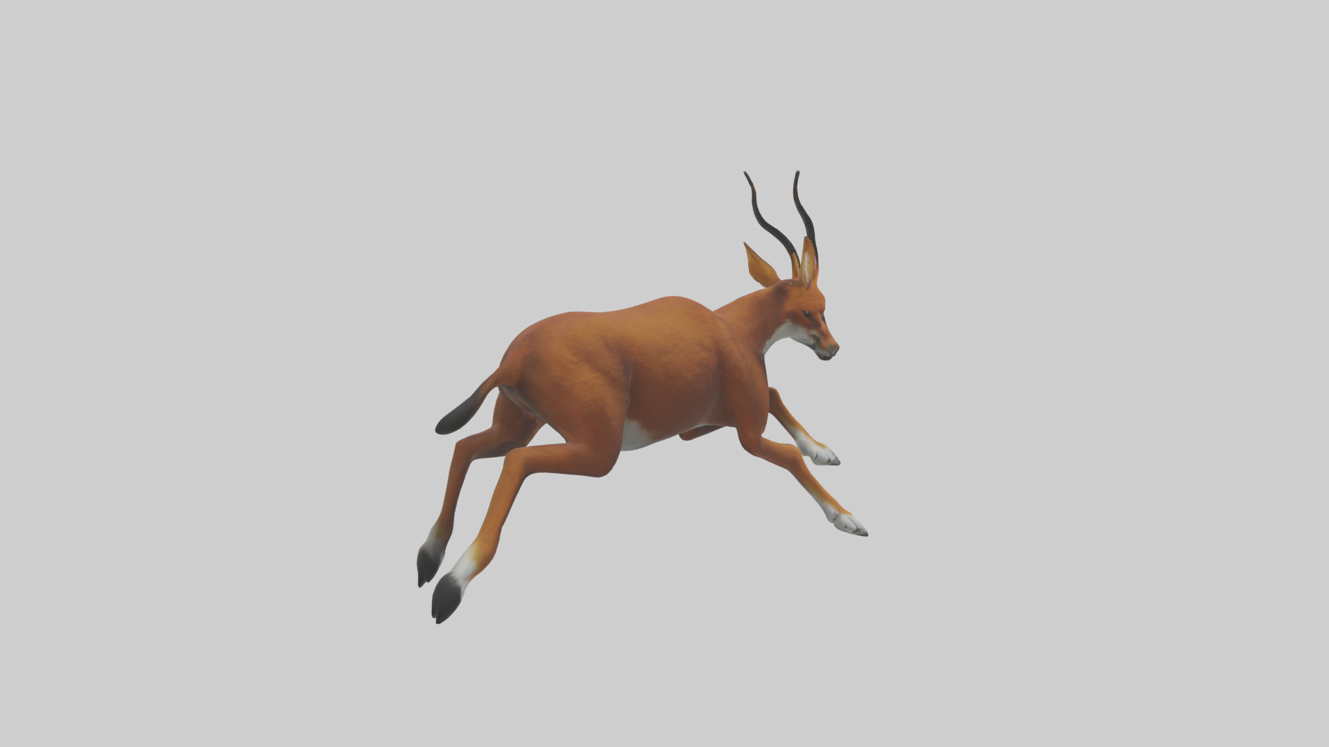 Dhole chasing prey model Low-poly 3D model_2