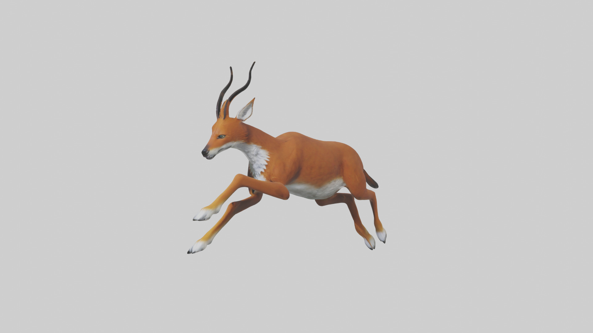 Dhole chasing prey model Low-poly 3D model_10