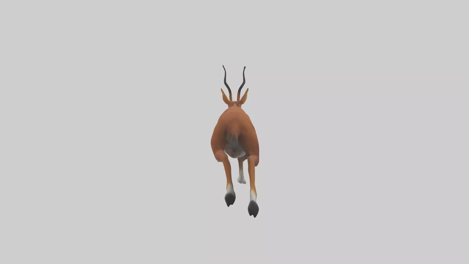 Dhole chasing prey model Low-poly 3D model_0