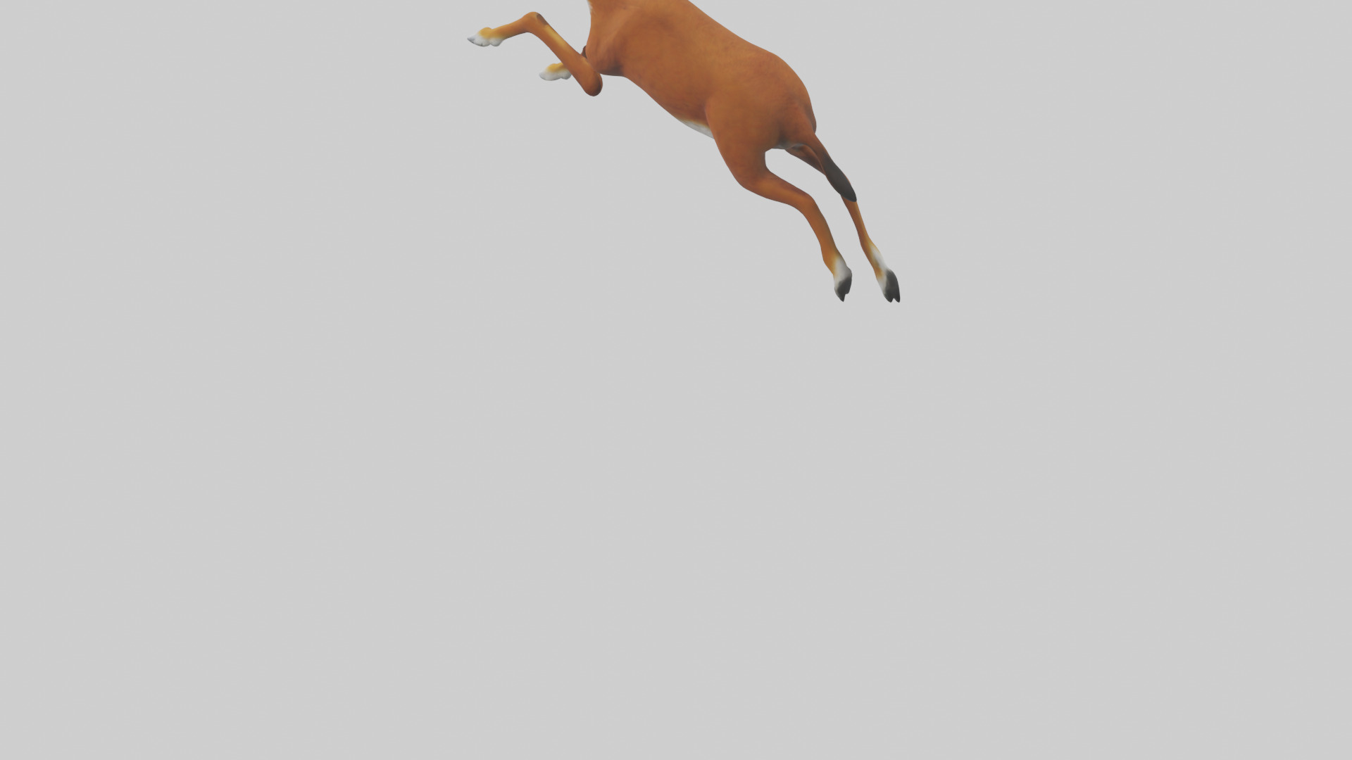Dhole chasing prey model Low-poly 3D model_3