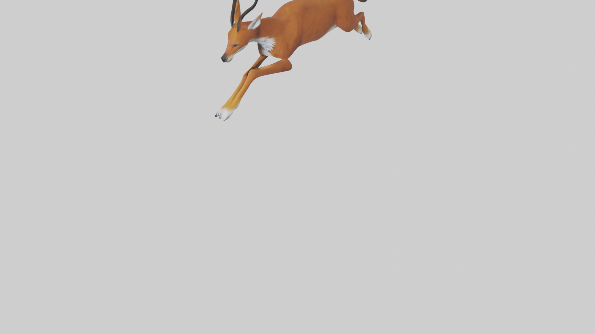 Dhole chasing prey model Low-poly 3D model_5