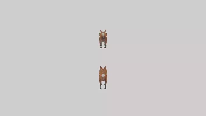 Dhole running in pack model Low-poly 3D model