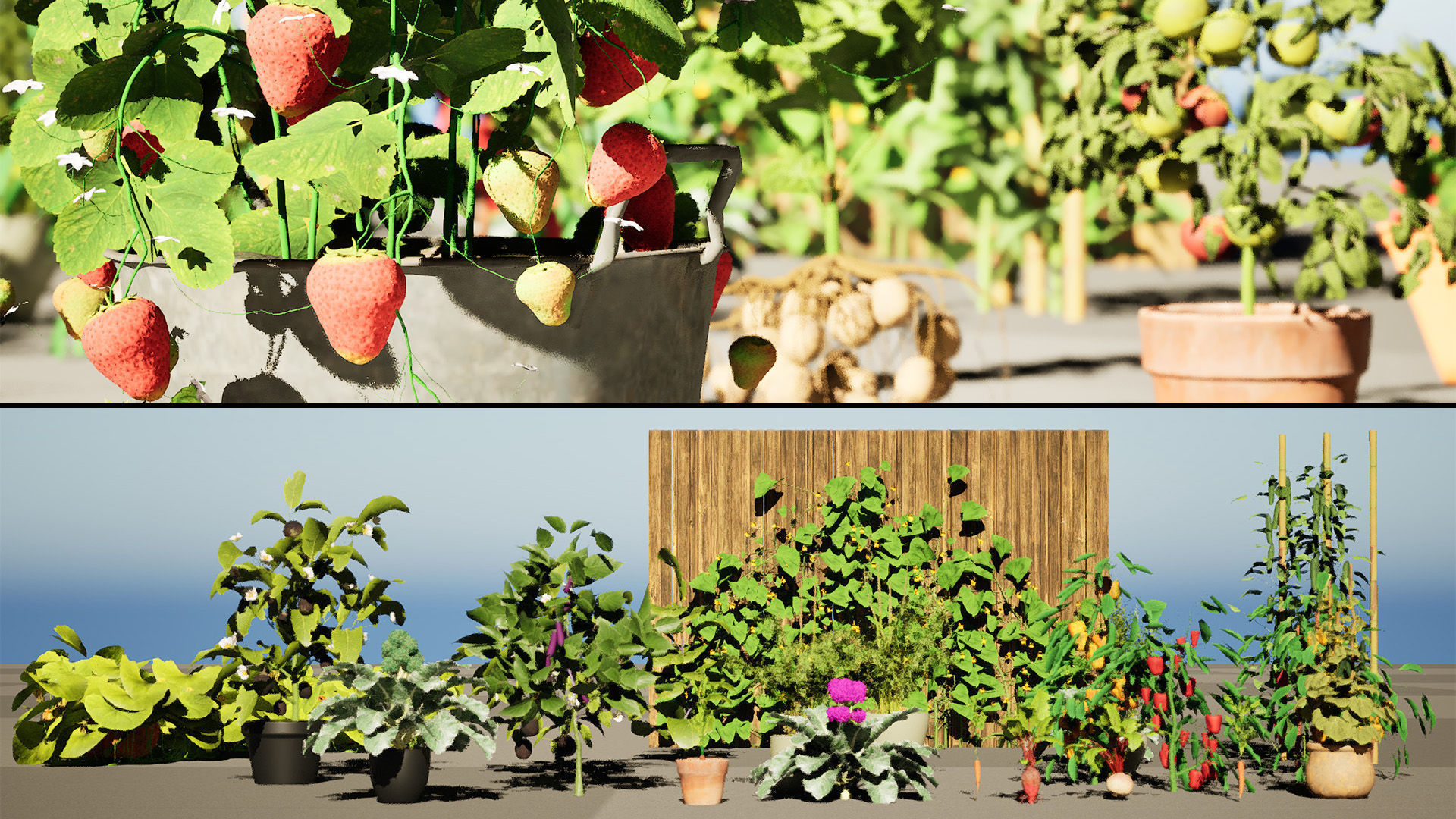 Vegetable Plant 3D Pack 3D Model Collection_24