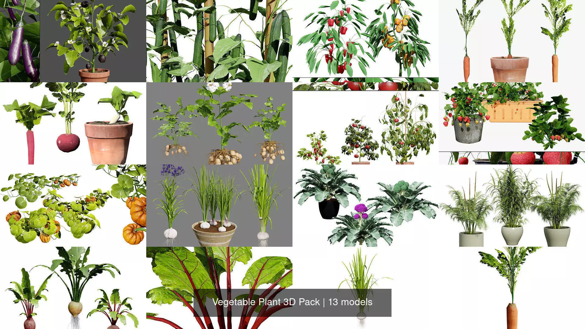 Vegetable Plant 3D Pack 3D Model Collection_0