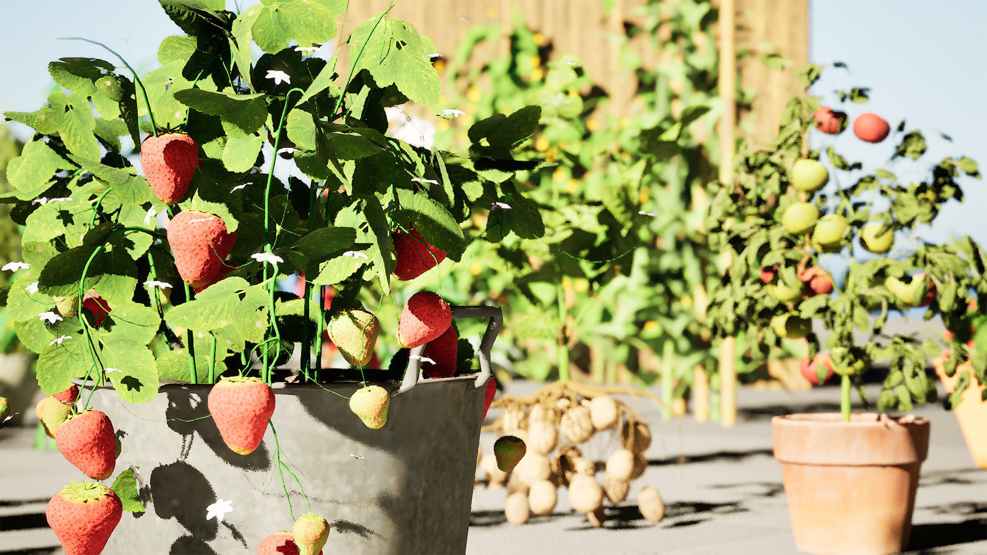 Vegetable Plant 3D Pack 3D Model Collection_27