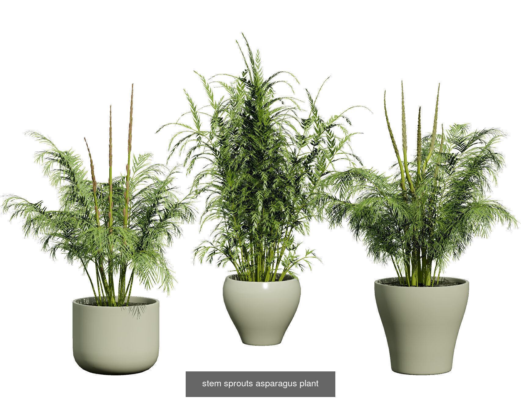 Vegetable Plant 3D Pack 3D Model Collection_22