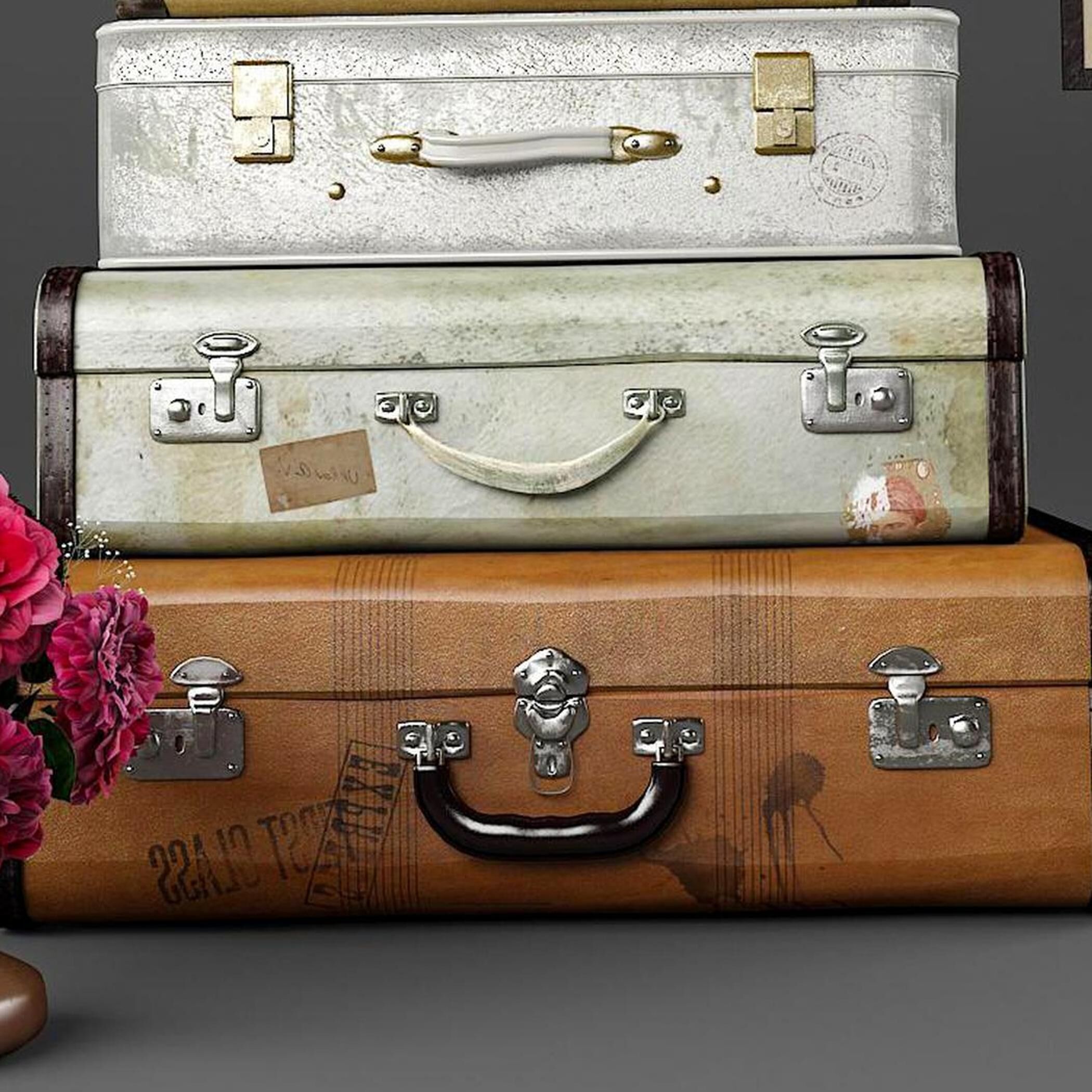 prop decorative suitcase Modern 3D model_1