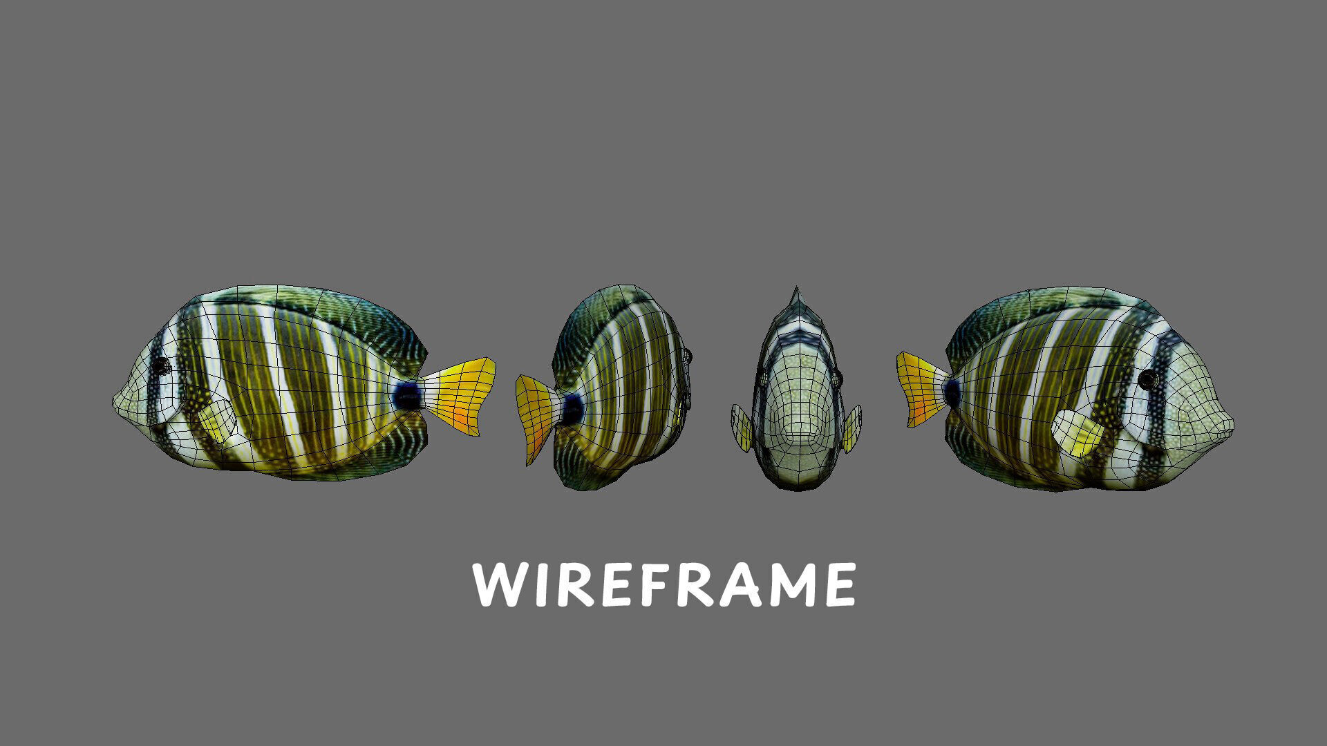 Low-Poly Striped tropical Animated  Low-poly 3D model_10