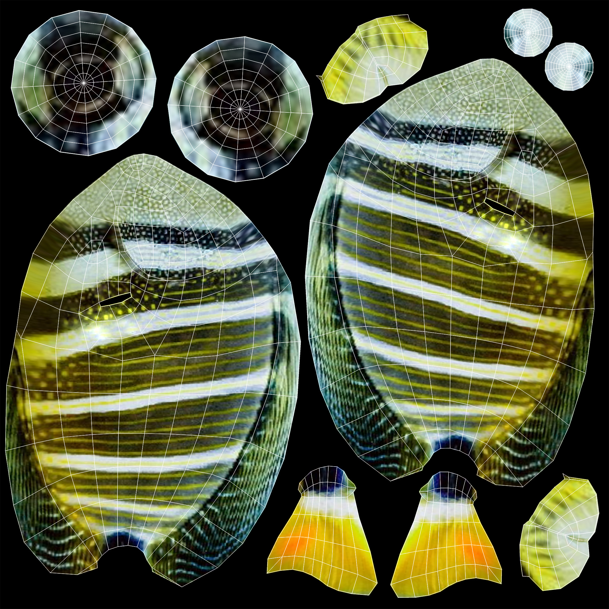 Low-Poly Striped tropical Animated  Low-poly 3D model_9