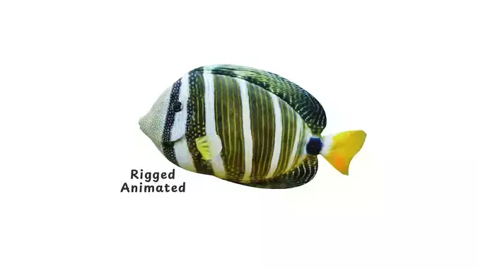 Low-Poly Striped tropical Animated  Low-poly 3D model