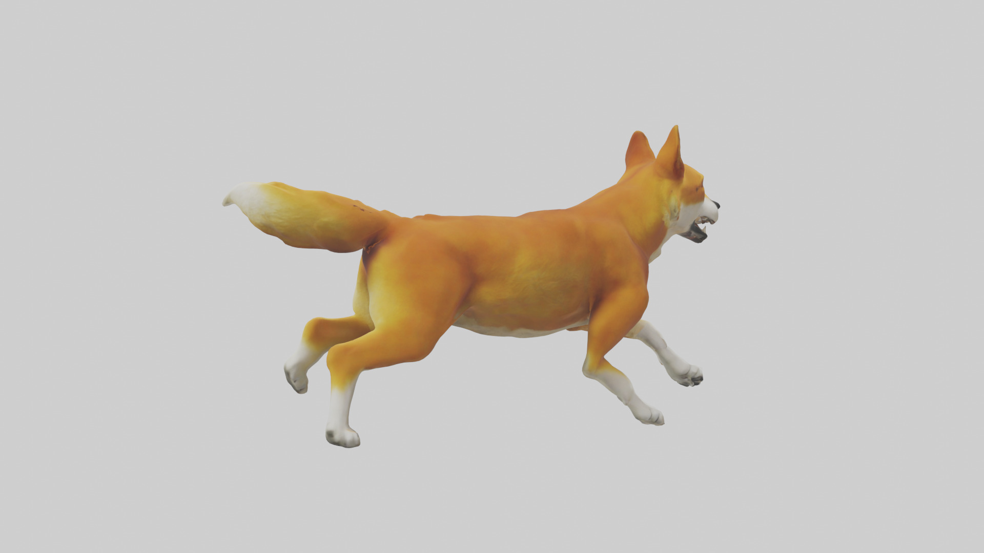 Dingo chasing prey model 3D model_2