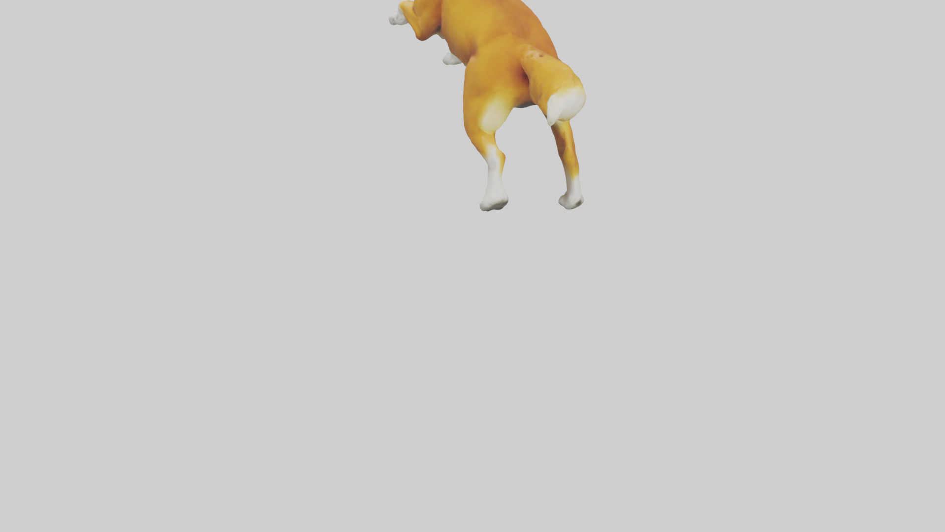 Dingo chasing prey model 3D model_3