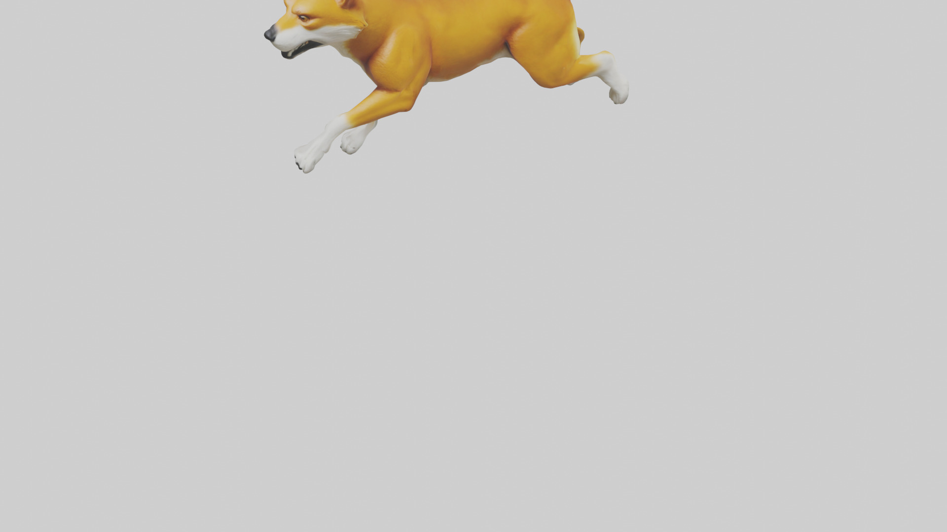 Dingo chasing prey model 3D model_5