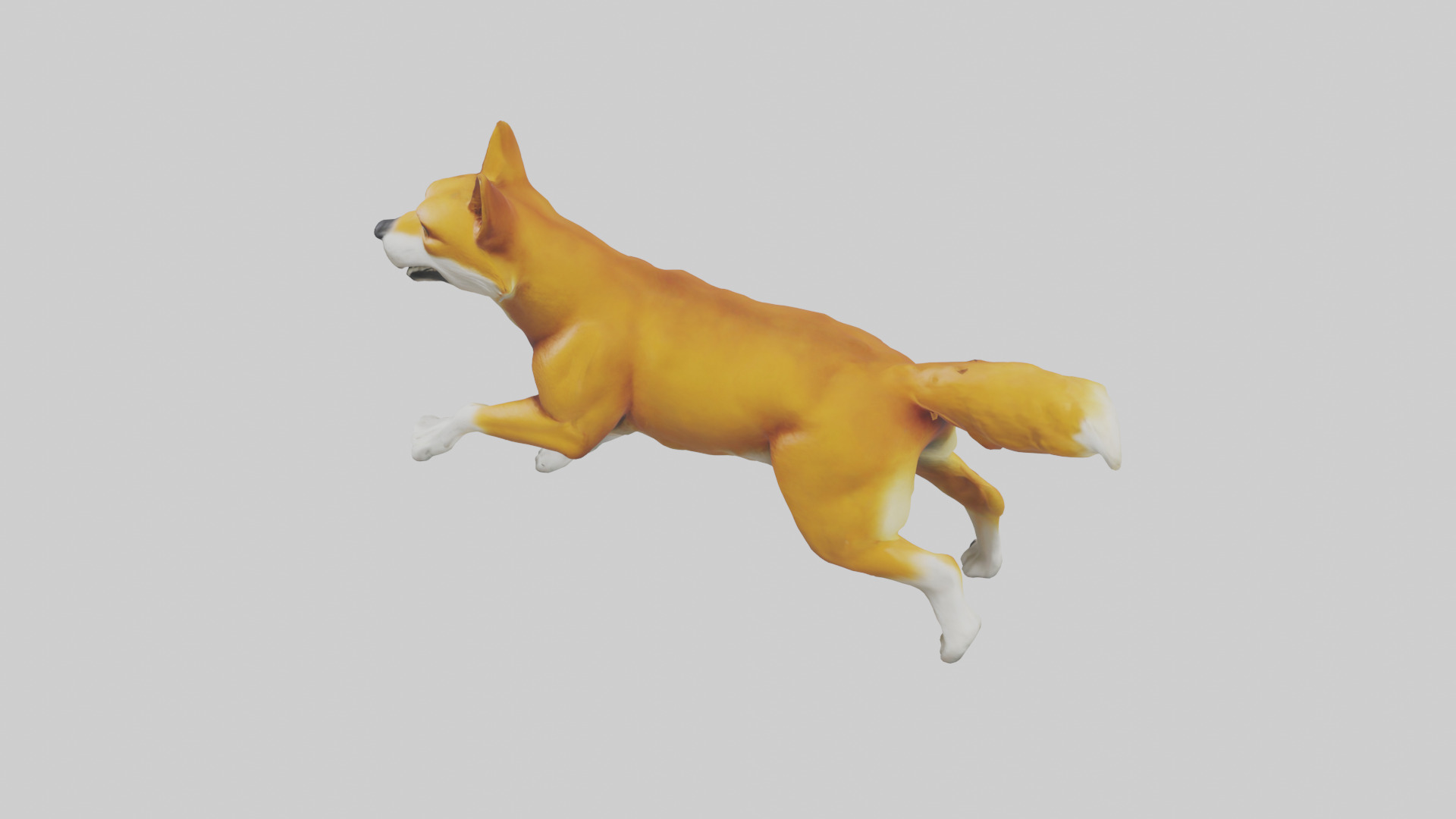 Dingo chasing prey model 3D model_17