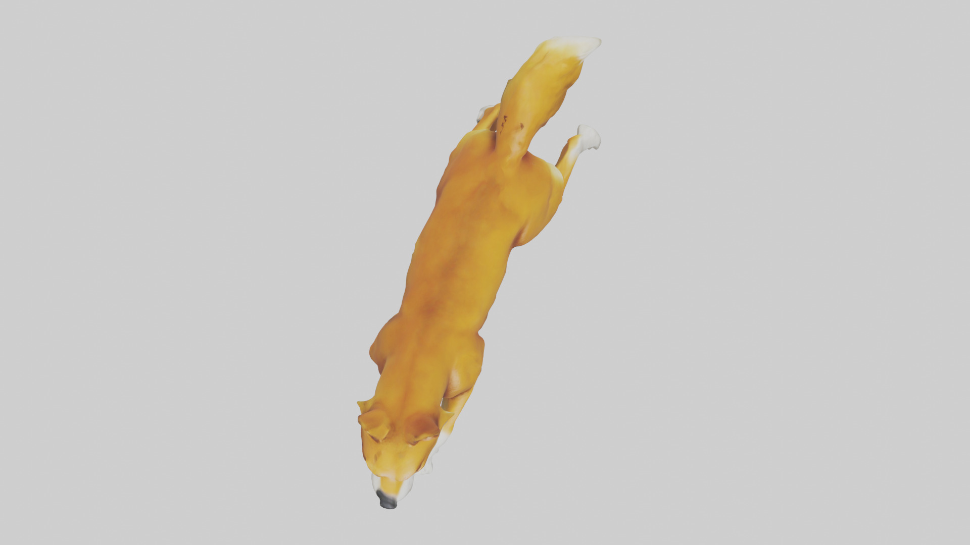 Dingo chasing prey model 3D model_14