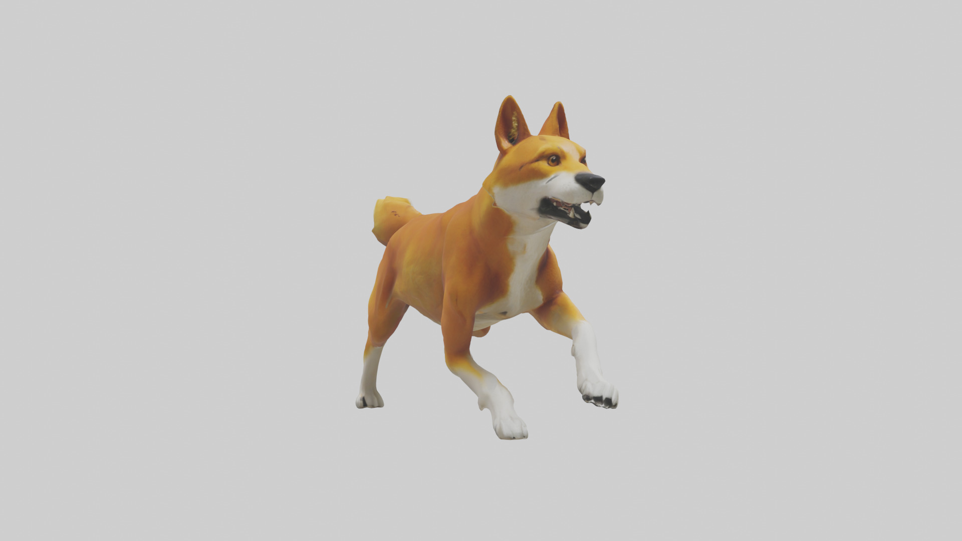 Dingo chasing prey model 3D model_7