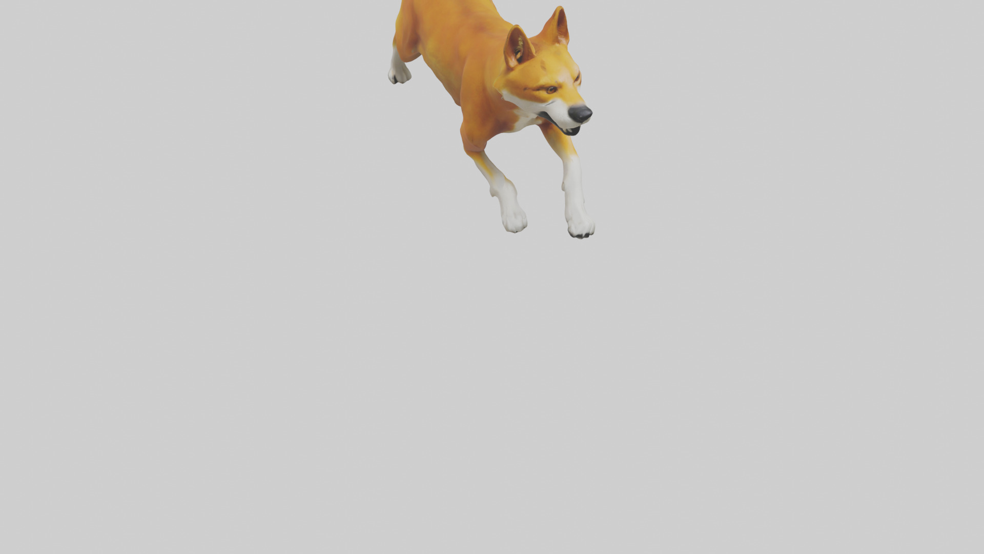 Dingo chasing prey model 3D model_6