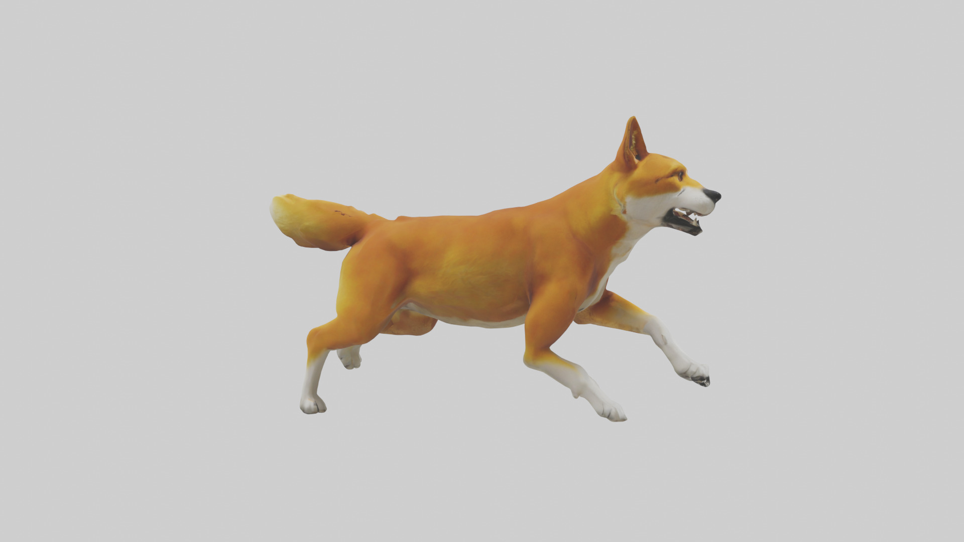 Dingo chasing prey model 3D model_13