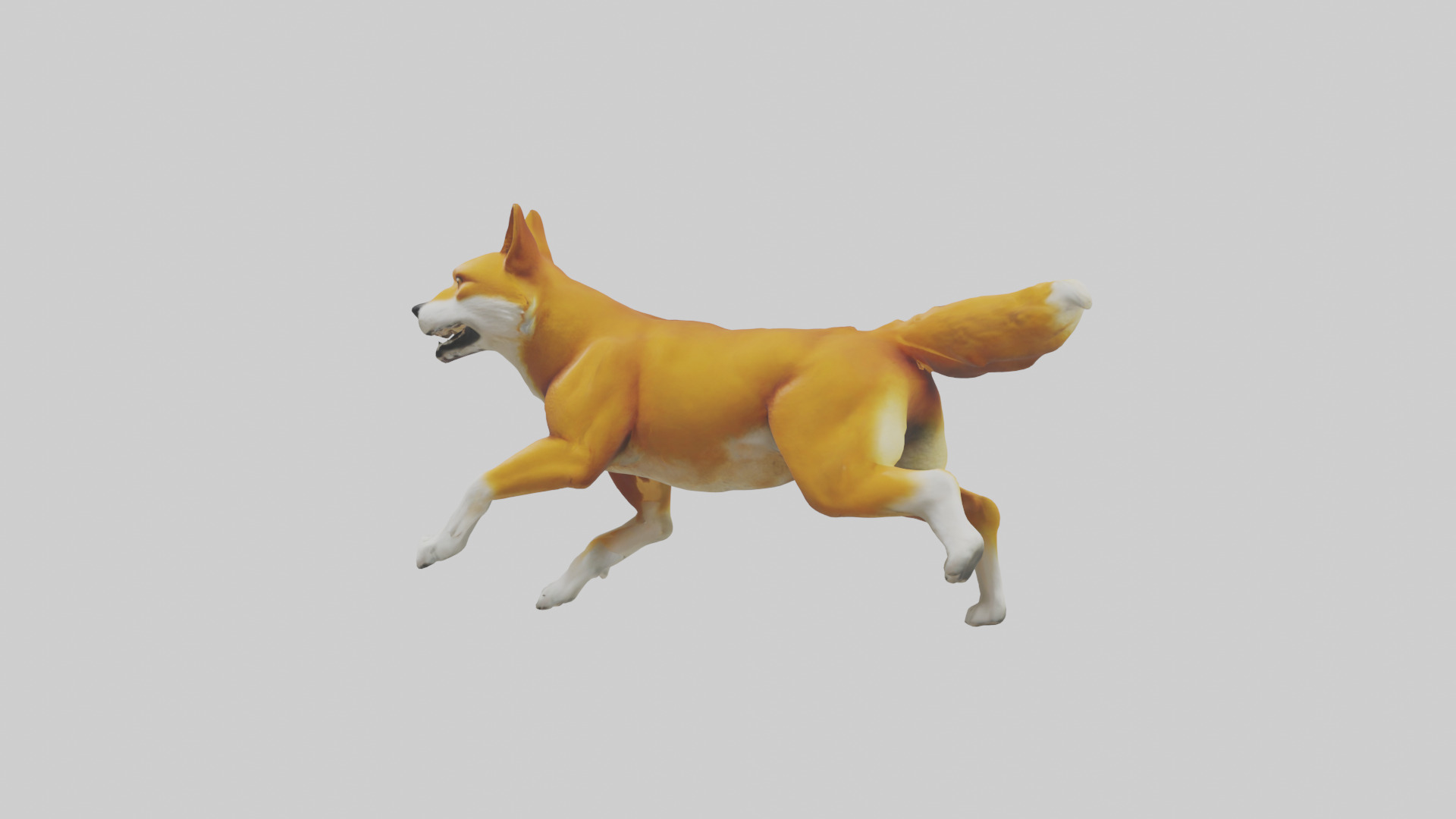 Dingo chasing prey model 3D model_12