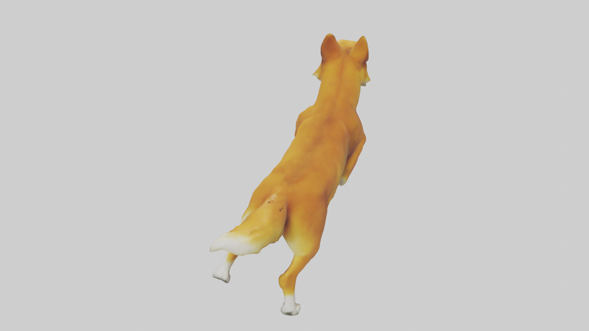 Dingo chasing prey model 3D model_15