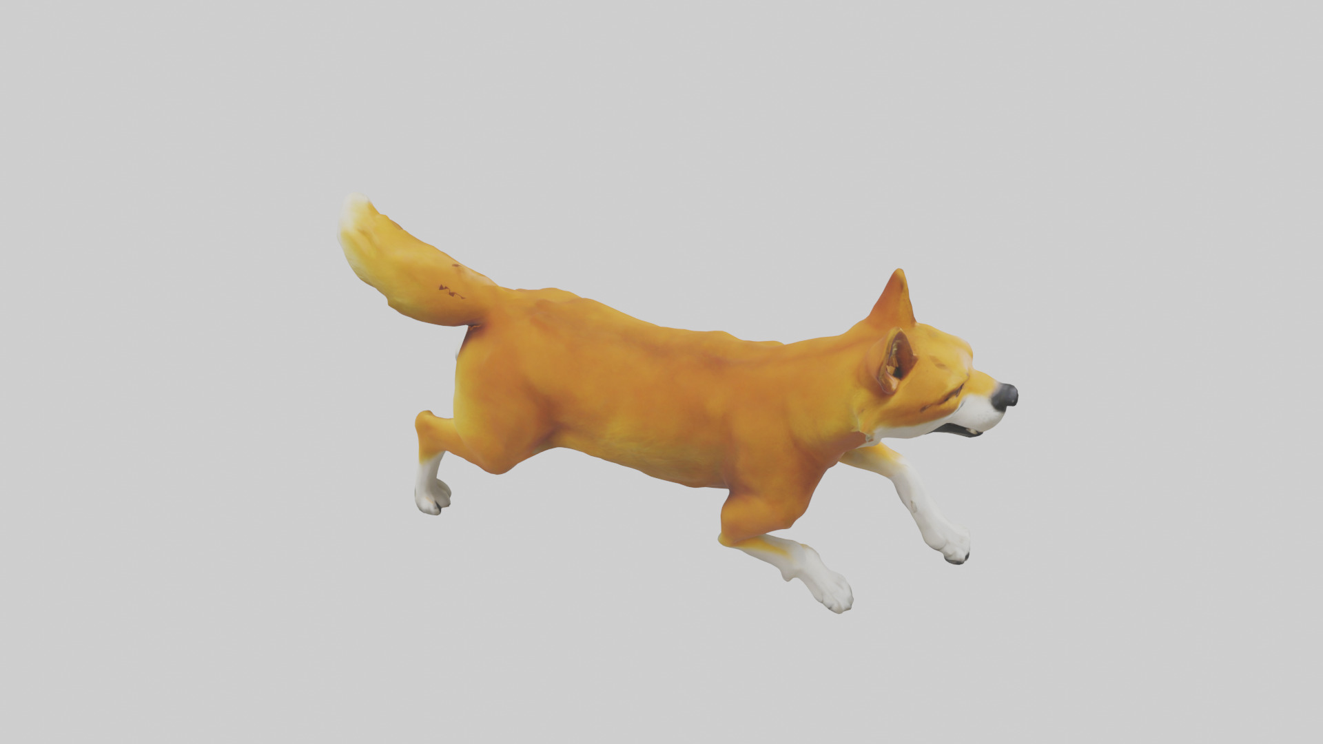 Dingo chasing prey model 3D model_18