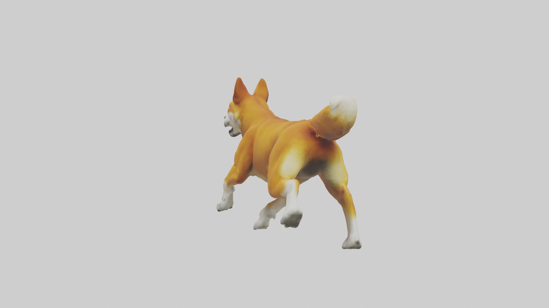 Dingo chasing prey model 3D model_1
