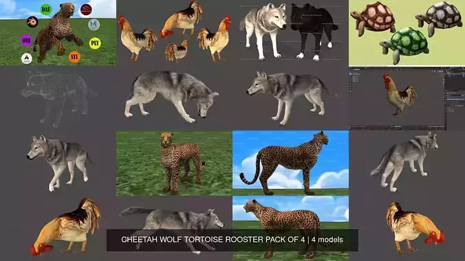 4 PACK OF CHEETAH WOLF TORTOISE ROOSTER 3D Model Collection