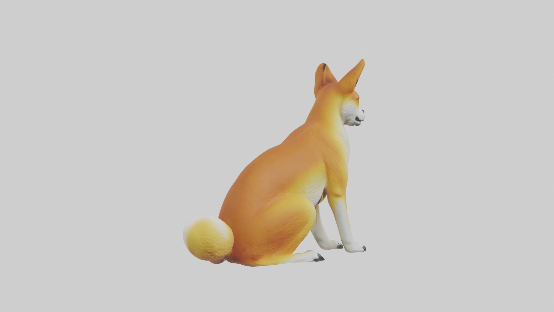 Dingo sitting model 3D model_11