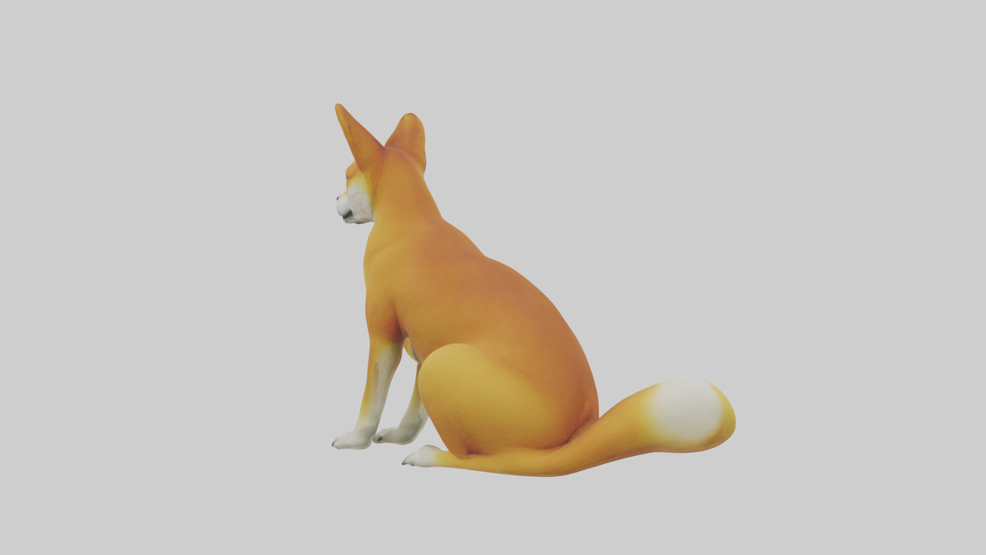 Dingo sitting model 3D model_2