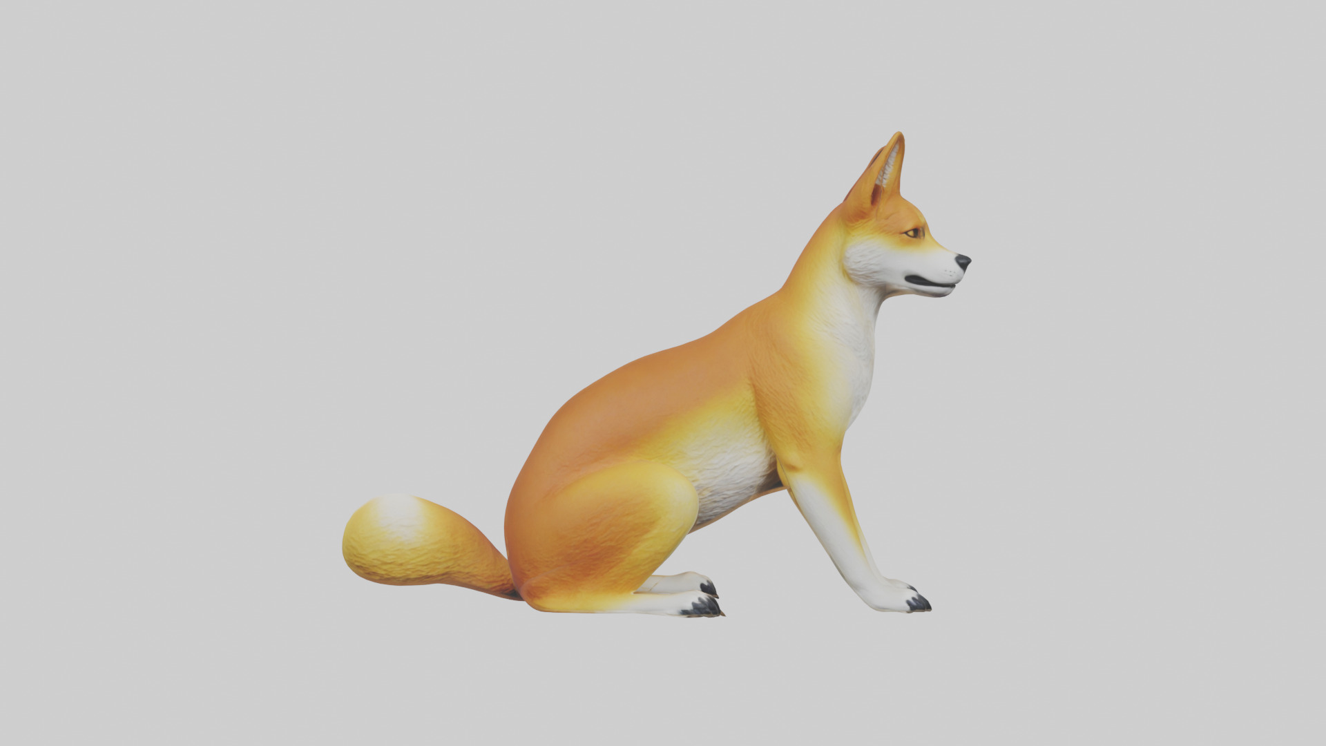 Dingo sitting model 3D model_9