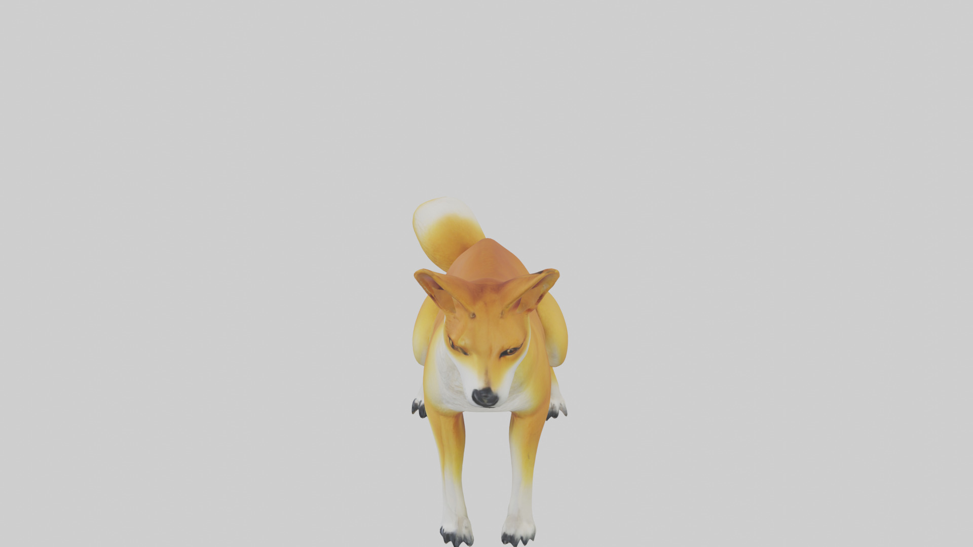 Dingo sitting model 3D model_17