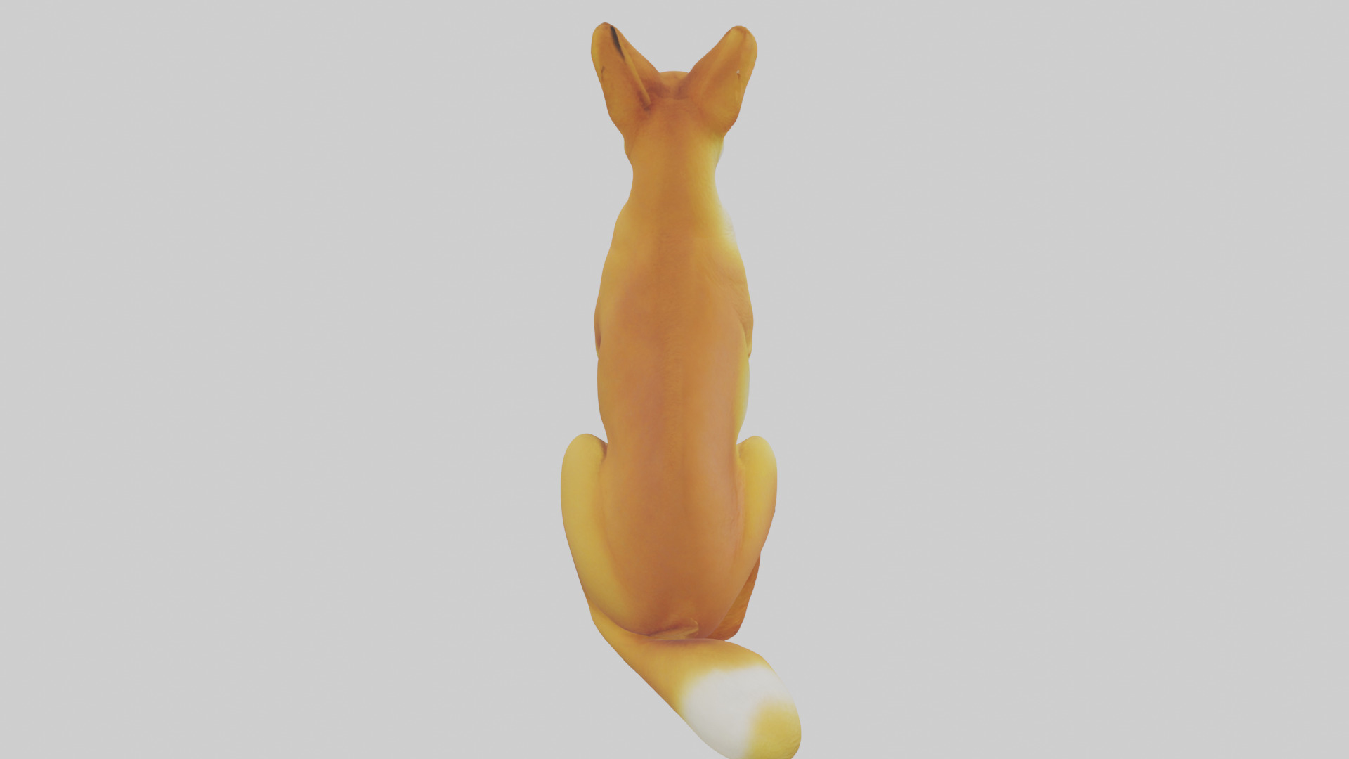 Dingo sitting model 3D model_18