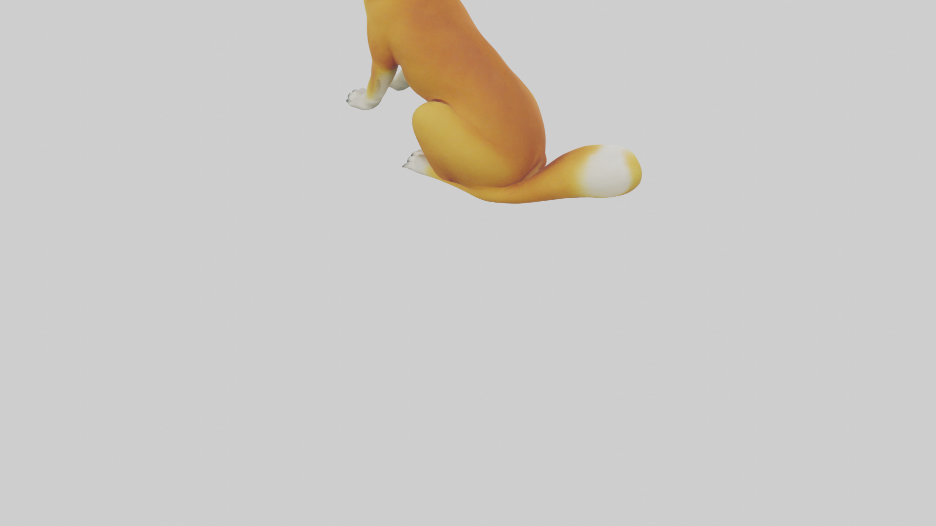 Dingo sitting model 3D model_4