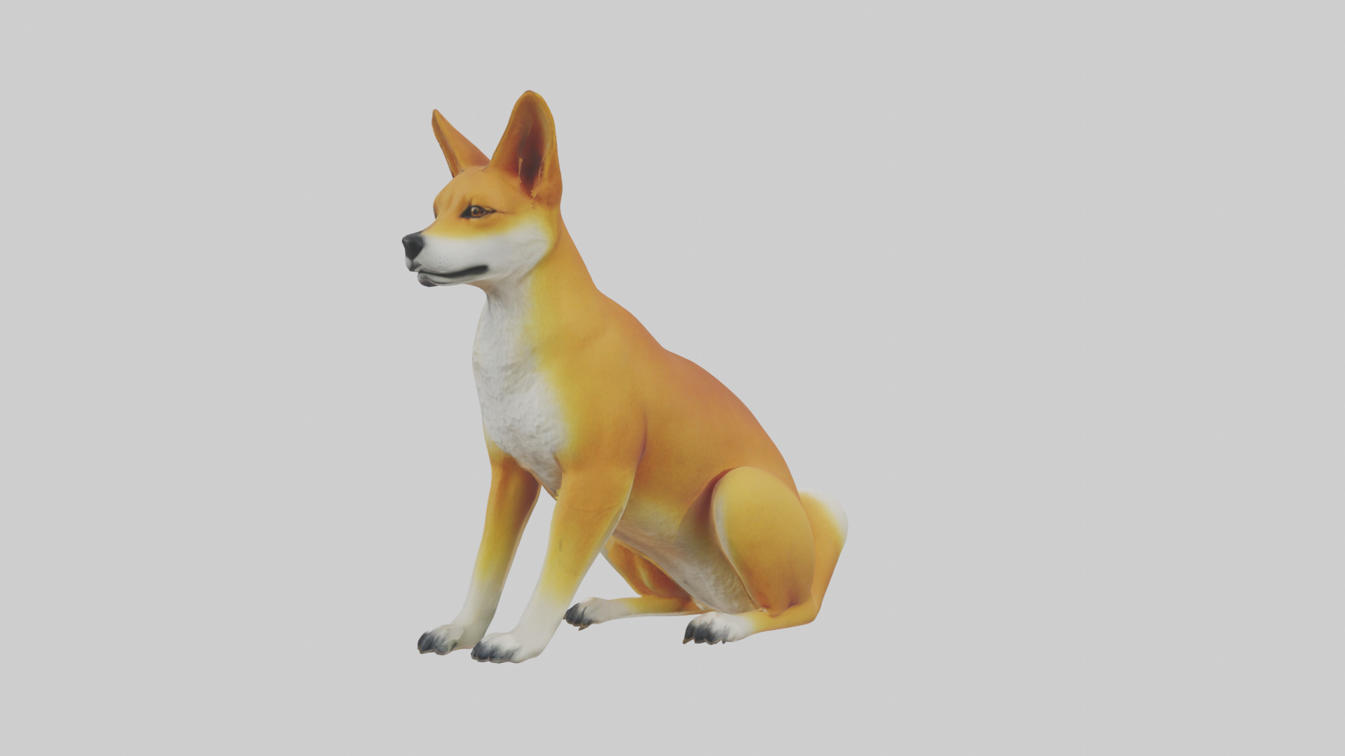 Dingo sitting model 3D model_1